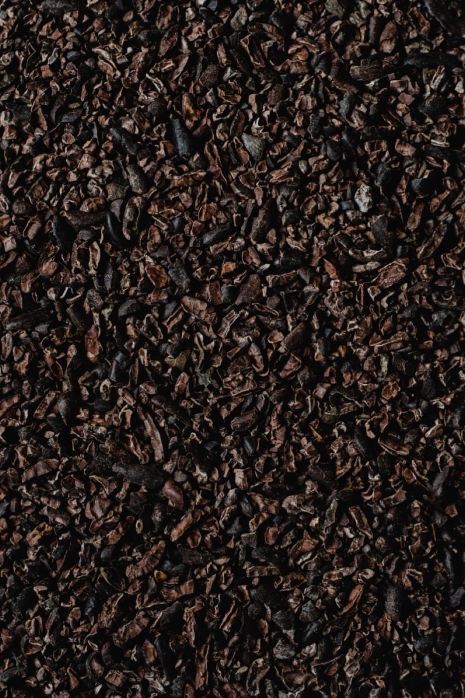 Close view of dark roasted cocoa nibs